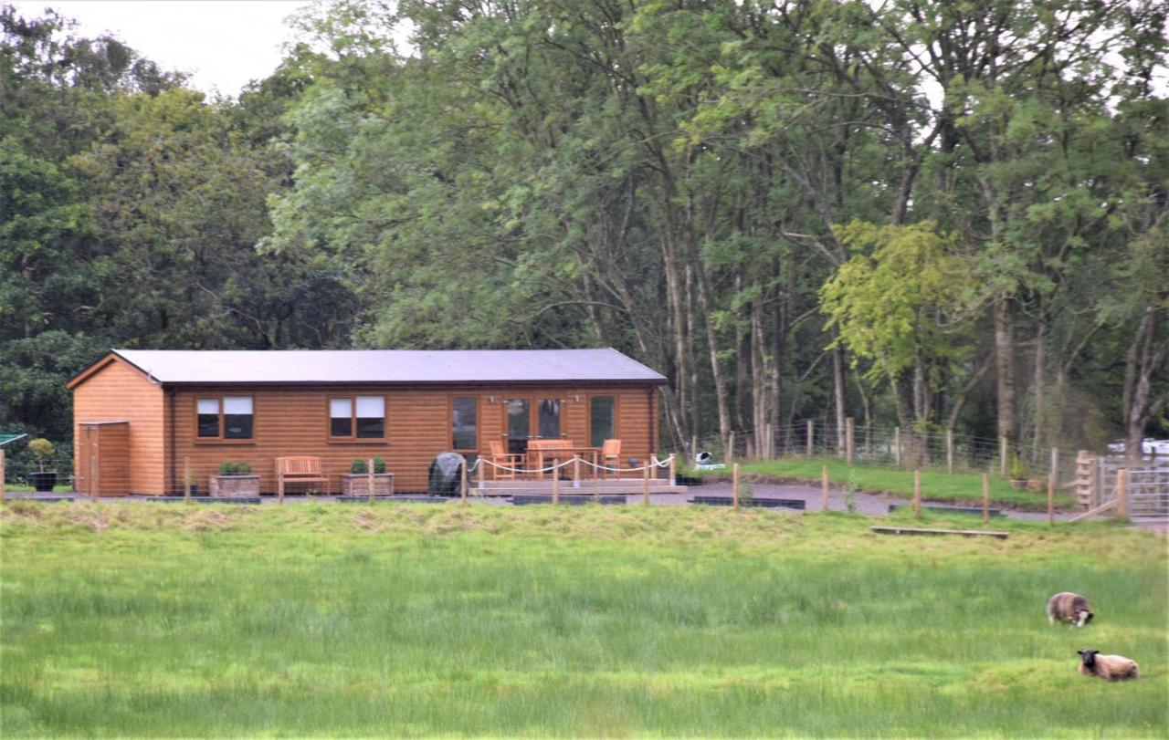 Ridge View Lodge دومفريس المظهر الخارجي الصورة